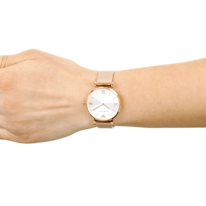 Emporio Armani AR1956 Gianni T - Bar Ladies Watch - WATCH & WATCH