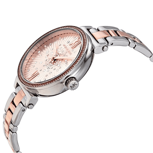 Michael Kors MK3972 Sofie Rose Gold Dial Women's Watch - WATCH & WATCH